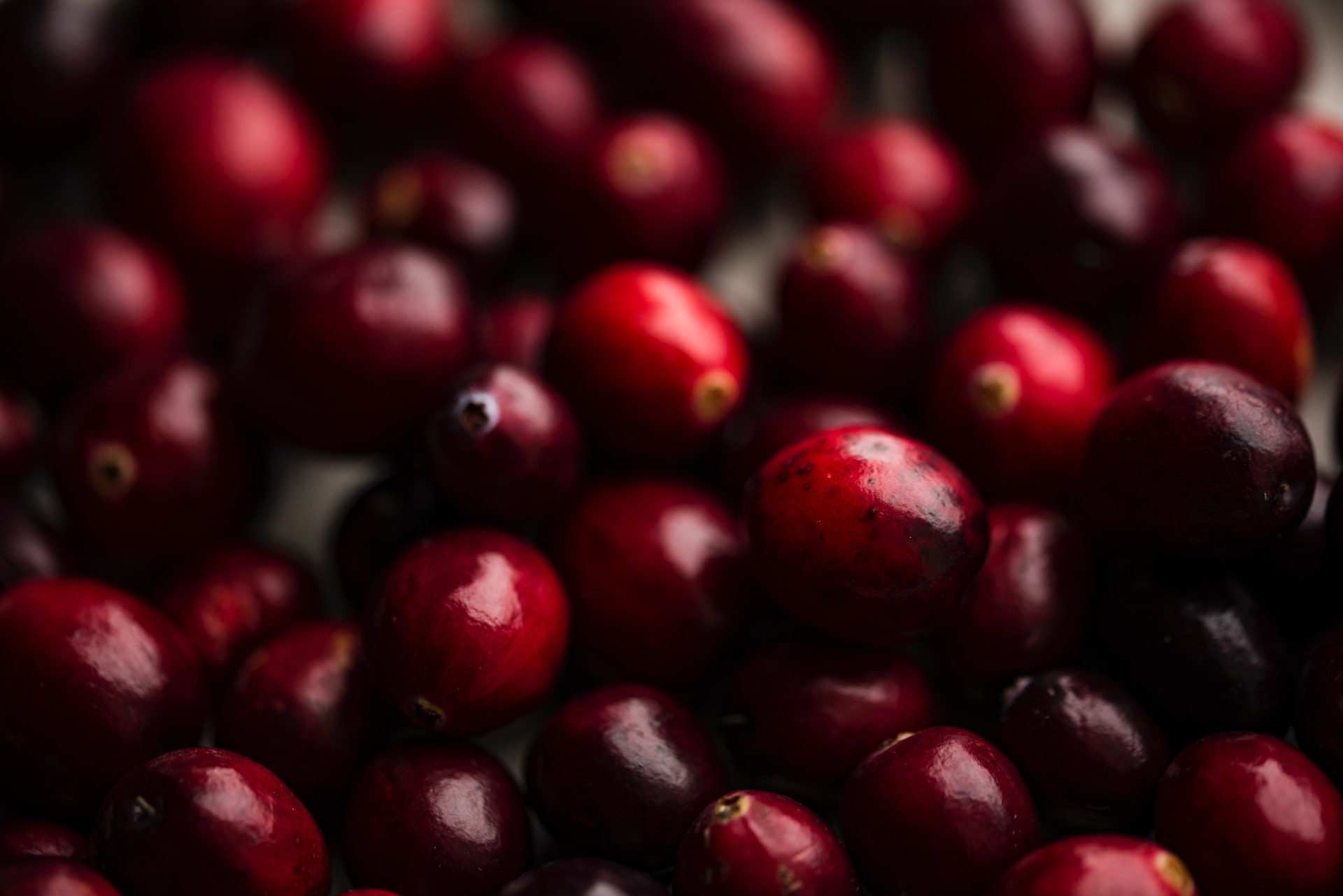 Up-close picture of a bunch of cranberries in a bowl for cooking