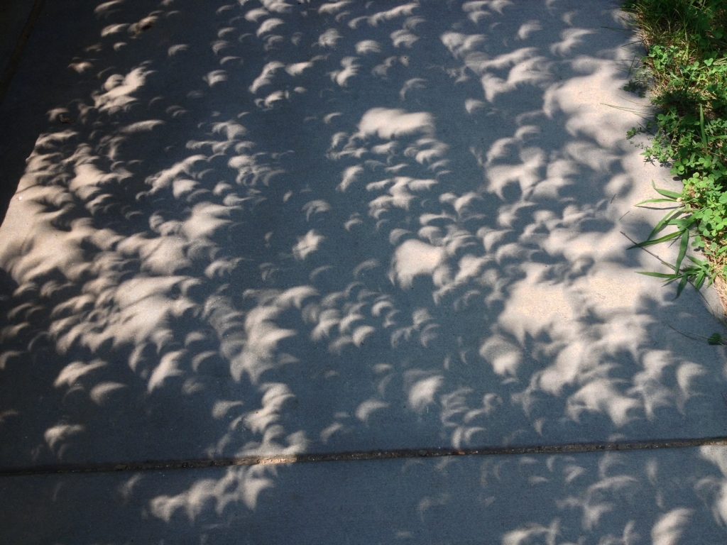 Tiny images of the eclipse on a sidewalk, seems as if you're looking at the sky