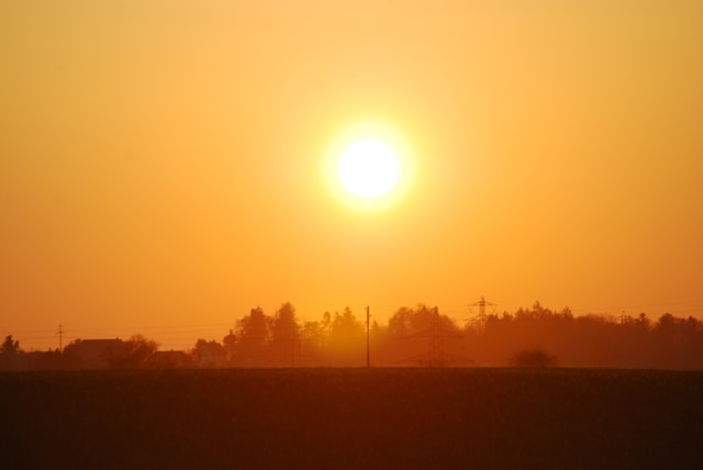 Sunrise in the distance, up above the trees, turning everything orange and red with heat